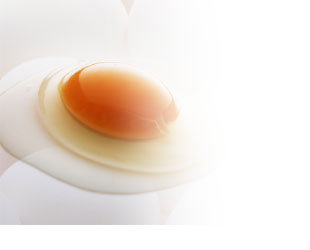 シュリンク包装卵　卵のイメージ